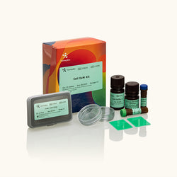 Cell ExM Kit-Yamaybio