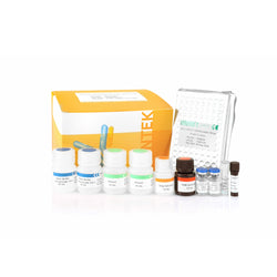 CHO K1 HCP ELISA Kit (one-step ELISA) SHENTEK®