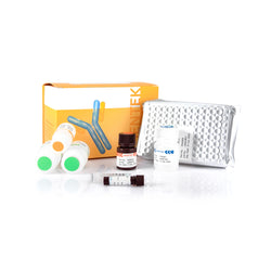 CHO PLBL-2 HCP ELISA Kit SHENTEK®