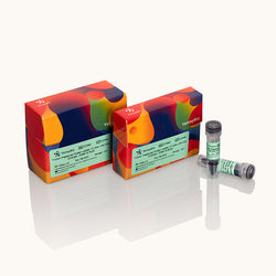 Tricolor Prestained Protein Ladder 10 kDa~180 kDa-Orange-Green & Blue-Yamaybio