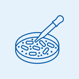 Cell Culture Consumables