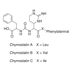 Chymostatin