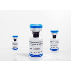 Recombinant Human VEGF165 Protein-T&L - Biofargo - 