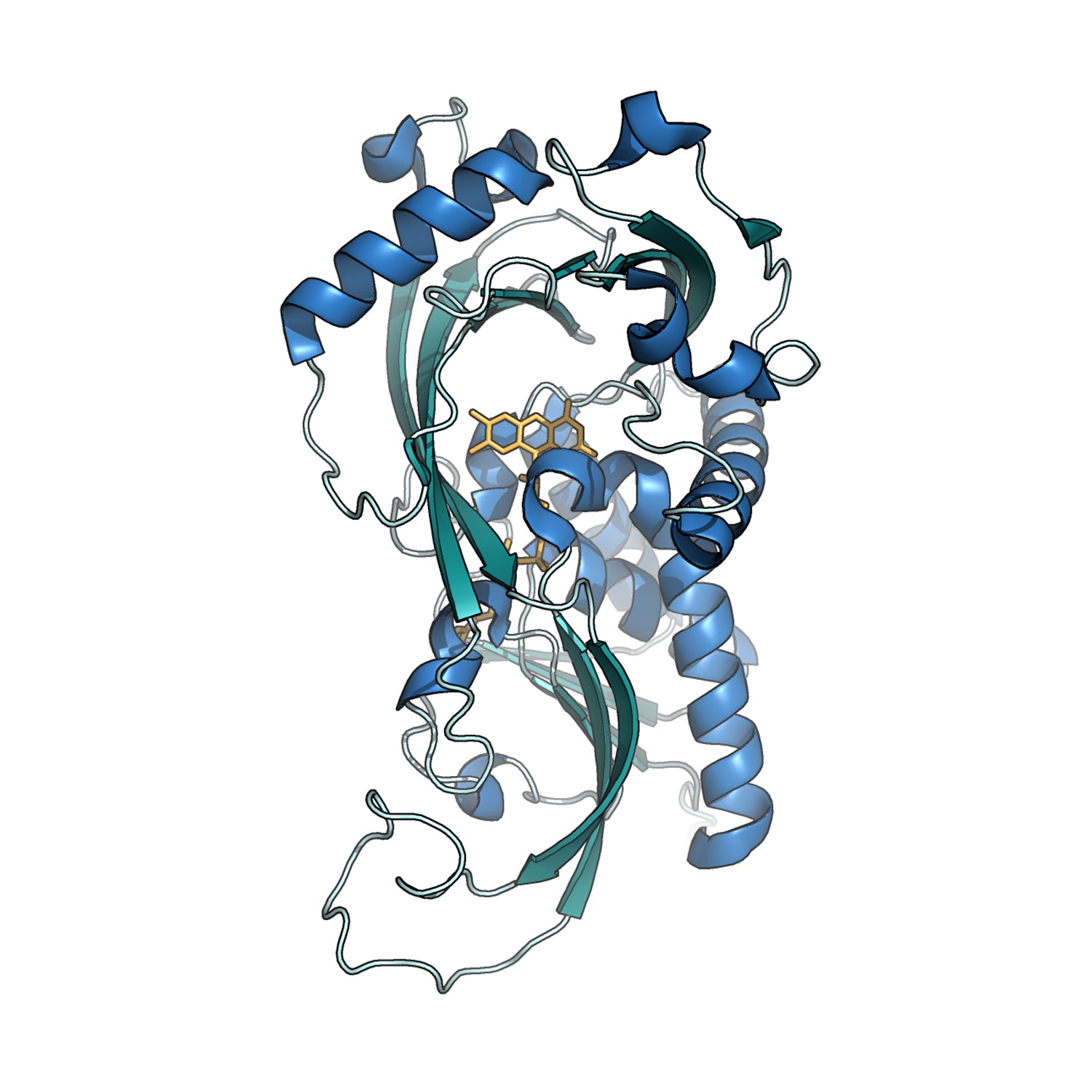 D-Amino Acid Oxidase (DAAO)