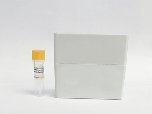 Streptavidin-conjugated Goat anti-rabbit IgG - Biofargo - 