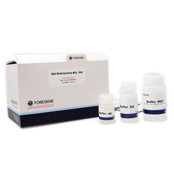 Gel Extraction Kit