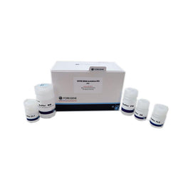 FFPE DNA Isolation Kit