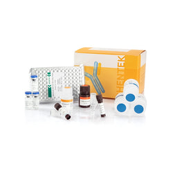 E.coli (K-12 & Alkaline Lysis) HCP ELISA Kit 