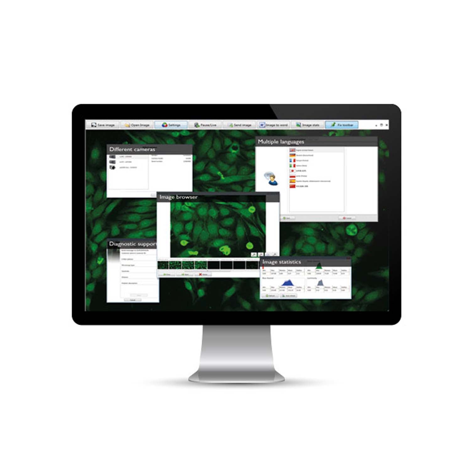 EUROPicture Acquisition, Visualisation and Administration of IFT Images