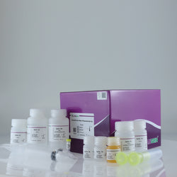 EndoFree Maxi Plasmid Kit V2