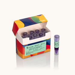 Protein Sample Loading Buffer-Denaturing-non-Reducing-5x-Yamaybio