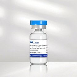 Anti-Human CD3 Monoclonal Antibody