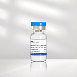 Recombinant Human Vitronectin Protein