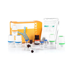 Human IFN-γ ELISA Kit SHENTEK®
