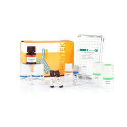 Human IL-6 ELISA Kit SHENTEK®