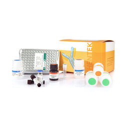 Human IL-6 ELISA Kit SHENTEK®