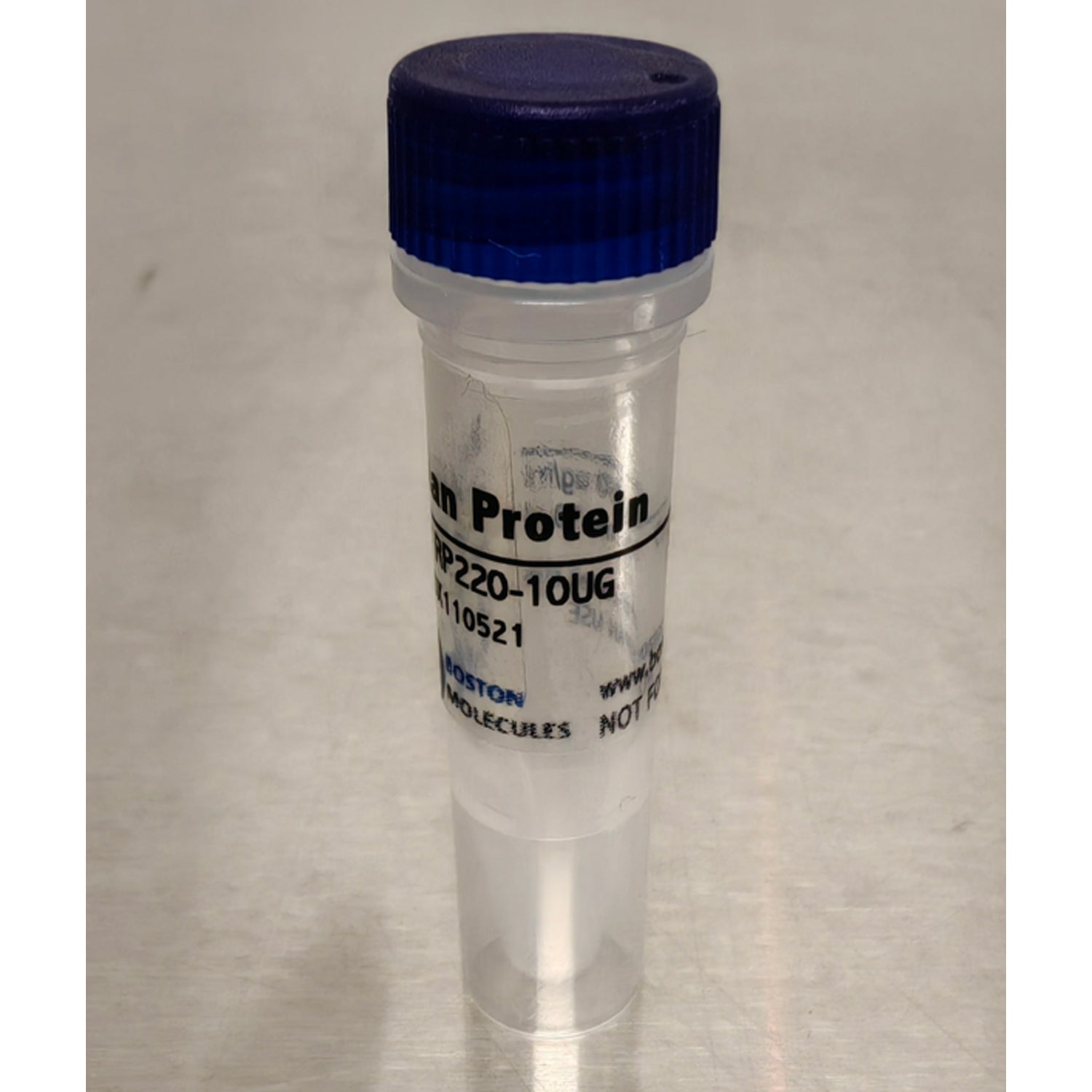 Human IFNB | Antiviral Immune-Regulating Type I Interferon Cytokine ...
