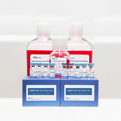 AMMS®NK Cell Culture Kit 3.0