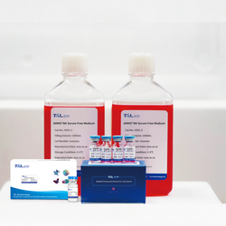 AMMS® NK Cell Culture Kit 2.0
