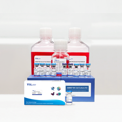 AMMS® High Purity NK Cell Culture Kit 3.0 