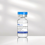 Anti-Human CD3 Monoclonal Antibody (CD3 Mab)