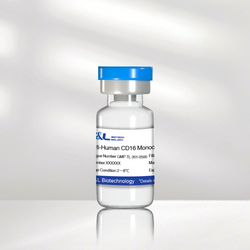 Anti-Human CD28 Monoclonal Antibody (CD28 Mab)