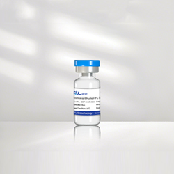 Recombinant Human FLT3 Ligand Protein