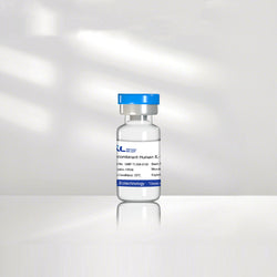 Recombinant Human IL-12 Protein