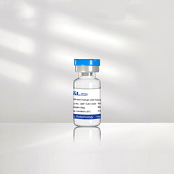 Recombinant Human bFGF Protein