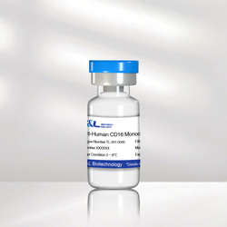Anti-Human CD16 Monoclonal Antibody (CD16 Mab)
