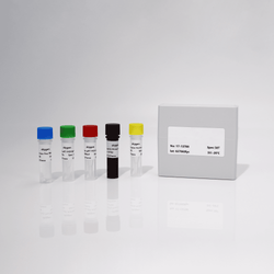 Pear Blister Canker Viroid (PBCVd) Probe Realtime RT-PCR Kit (without internal control)