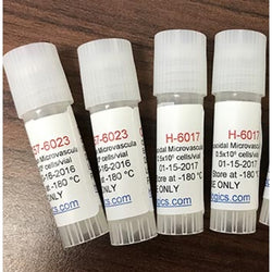 C57BL/6 Mouse White Adipocytes