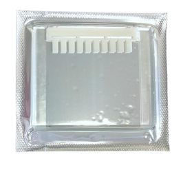 10%Precast-Gel Tris-Glycine PAGE 10well