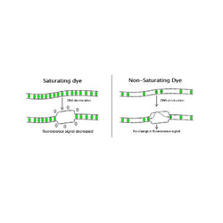 Dye for Nucleic Acid Amplification-SYBR Green Alternat