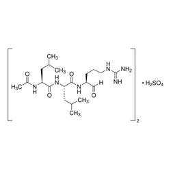 Leupeptin (Acetyl-Leu-Leu-Arginal)