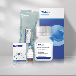 MaxSortin® CD4 Isolation Kit-T&L