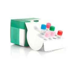 Mycoplasma Hyorhinis DNA Standard (1x10‚Å∏ copies/µL) MycoSHENTEK™