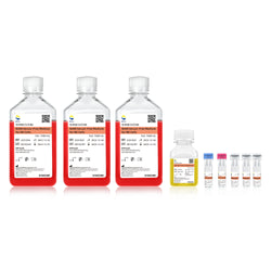 Natural Killer Cells Induction Culture Kit 3.0