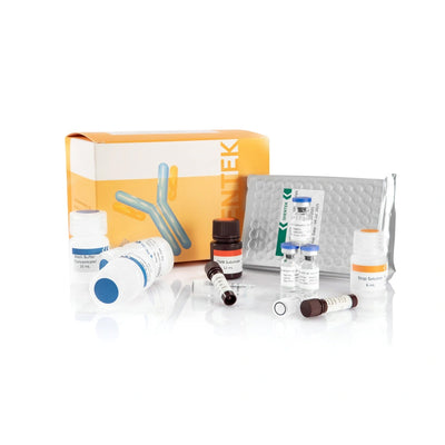 Residual Host Cell Protein Quantitation