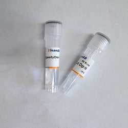 SpeedyCut DpnI-KleanAB - Biofargo - 