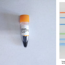 TureColor Pre-stained Protein Marker,3 colors,Low Range II,2.7~40 kDa