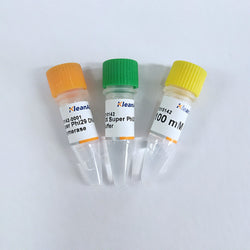 Super Phi29 DNA Polymerase-KleanAB - Biofargo - 