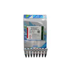 QuantAccuracy RT-RamDA cDNA Synthesis Kit-Toyobo