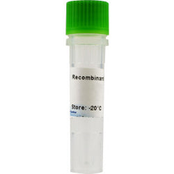 IL-2, Interleukin-2, murine (mouse)