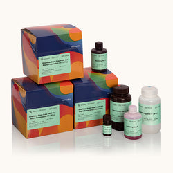 One-Step Stain Free PAGE Gel Rapid Preparation Kit-10%-Yamaybio