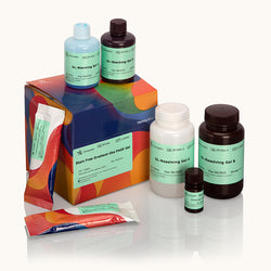 Stain Free Gradient-like PAGE Gel Kit-Yamaybio