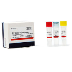 Master Premix for first-strand cDNA synthesis for Real Time PCR with gDNase