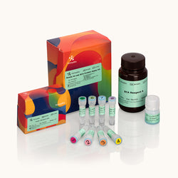 Ready-to-use BCA Protein Assay Kit-Yamaybio