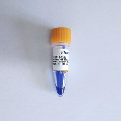 RealBand Pre-stained Protein Marker 1 color Standard Range 10~180 kDa