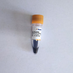 RealBand Pre-stained Protein Marker 3 colors Wide Range 5~245 kDa